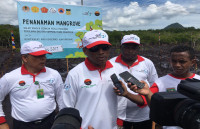 Pemkot Komitmen Rehabilitas Kawasan Mangrove